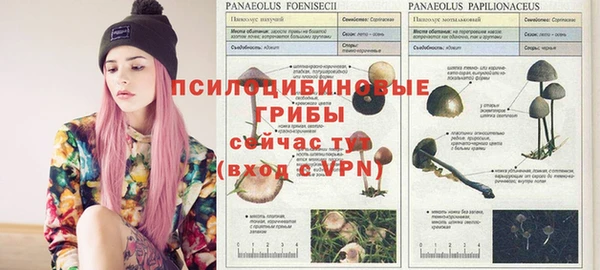 spice Алексин