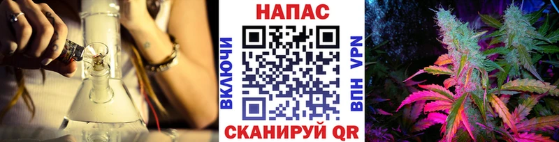 Конопля конопля как найти закладки Бикин